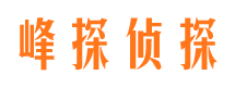 任城捉小三公司